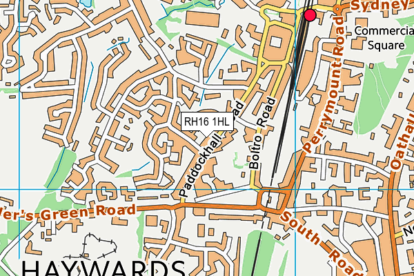RH16 1HL map - OS VectorMap District (Ordnance Survey)