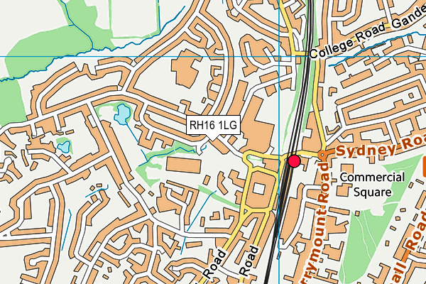 RH16 1LG map - OS VectorMap District (Ordnance Survey)