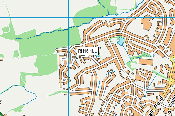 RH16 1LL map - OS VectorMap District (Ordnance Survey)