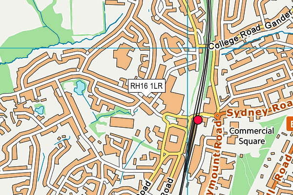 RH16 1LR map - OS VectorMap District (Ordnance Survey)