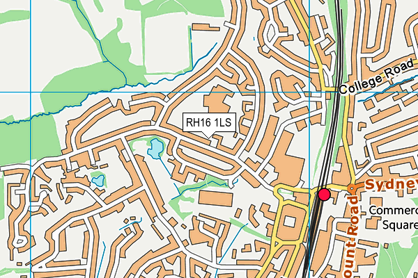RH16 1LS map - OS VectorMap District (Ordnance Survey)