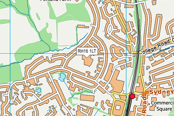 RH16 1LT map - OS VectorMap District (Ordnance Survey)