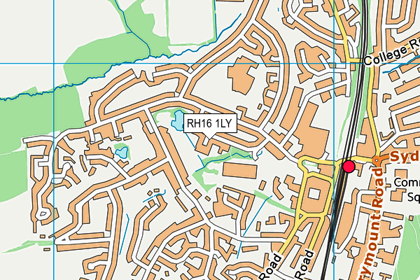RH16 1LY map - OS VectorMap District (Ordnance Survey)