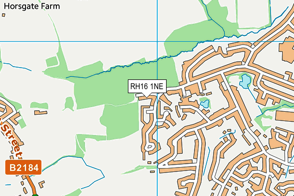 RH16 1NE map - OS VectorMap District (Ordnance Survey)