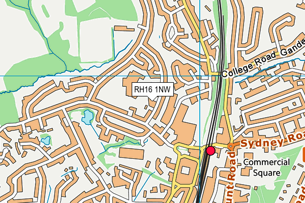 RH16 1NW map - OS VectorMap District (Ordnance Survey)