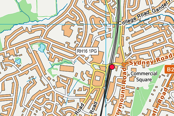 RH16 1PG map - OS VectorMap District (Ordnance Survey)