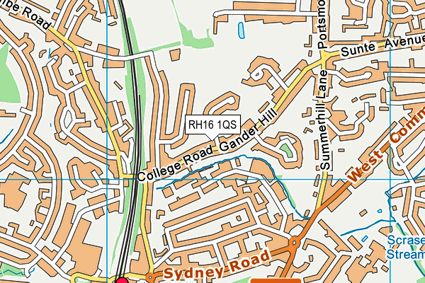 RH16 1QS map - OS VectorMap District (Ordnance Survey)