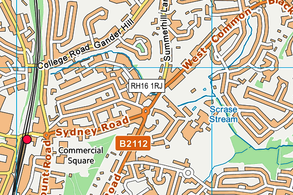 RH16 1RJ map - OS VectorMap District (Ordnance Survey)