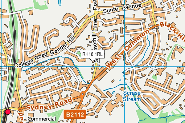 RH16 1RL map - OS VectorMap District (Ordnance Survey)