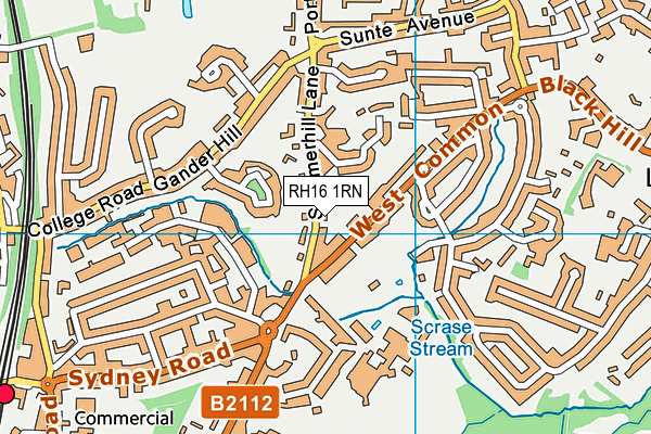 RH16 1RN map - OS VectorMap District (Ordnance Survey)