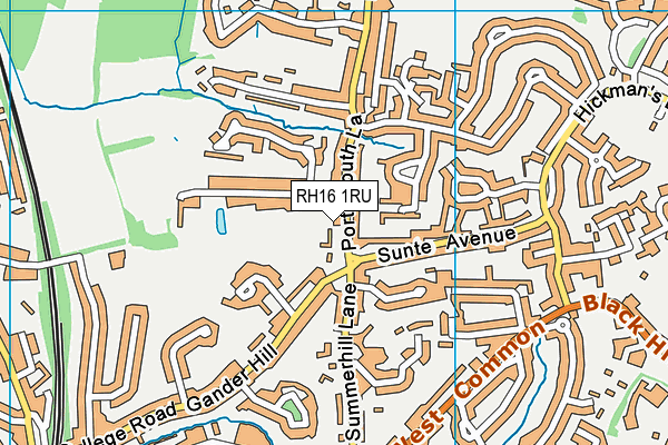 RH16 1RU map - OS VectorMap District (Ordnance Survey)