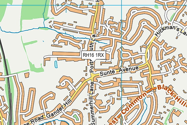 RH16 1RX map - OS VectorMap District (Ordnance Survey)