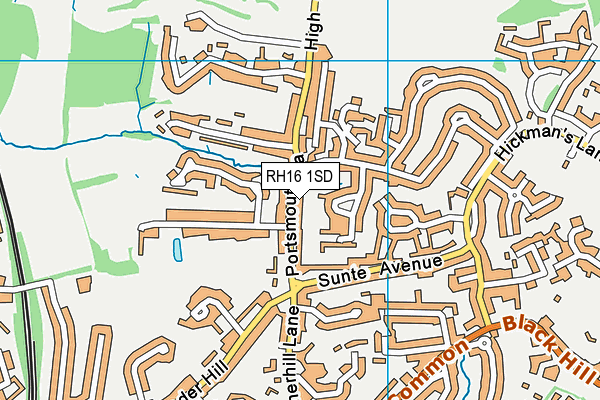 RH16 1SD map - OS VectorMap District (Ordnance Survey)