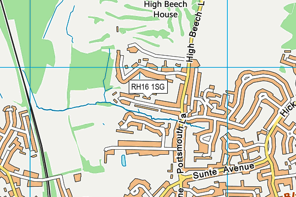 RH16 1SG map - OS VectorMap District (Ordnance Survey)