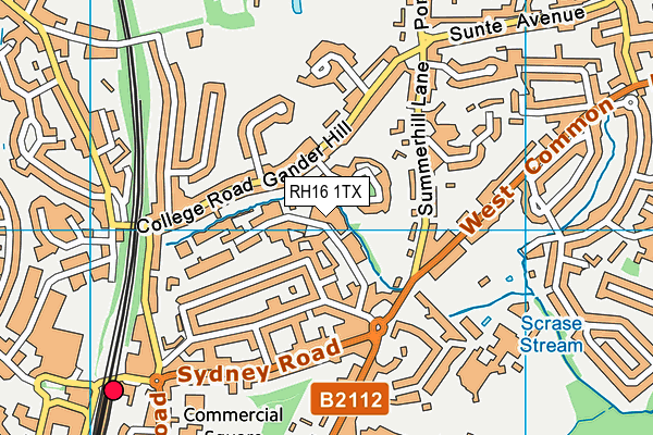 RH16 1TX map - OS VectorMap District (Ordnance Survey)