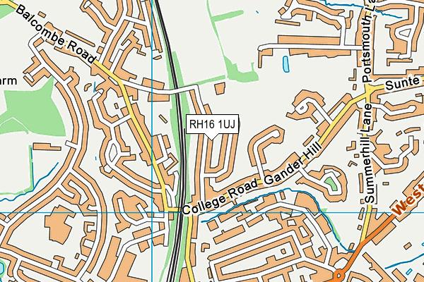 RH16 1UJ map - OS VectorMap District (Ordnance Survey)