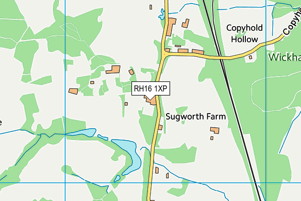 RH16 1XP map - OS VectorMap District (Ordnance Survey)