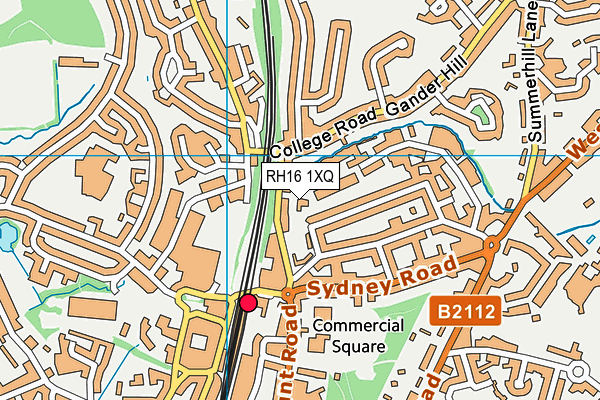 RH16 1XQ map - OS VectorMap District (Ordnance Survey)