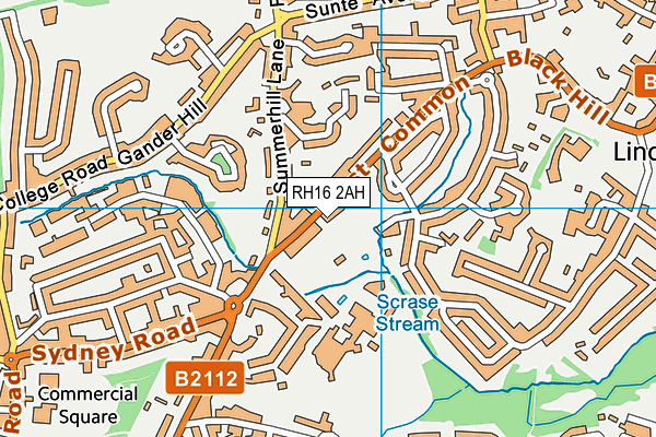 RH16 2AH map - OS VectorMap District (Ordnance Survey)