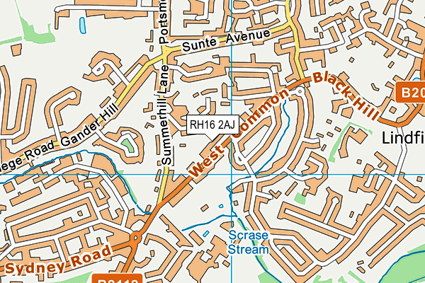 RH16 2AJ map - OS VectorMap District (Ordnance Survey)