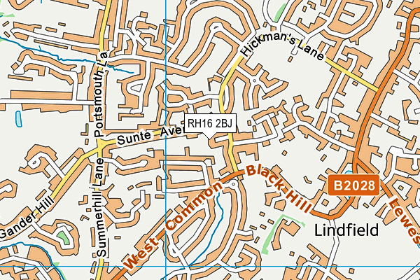 RH16 2BJ map - OS VectorMap District (Ordnance Survey)