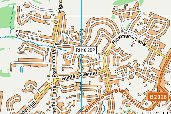 RH16 2BP map - OS VectorMap District (Ordnance Survey)