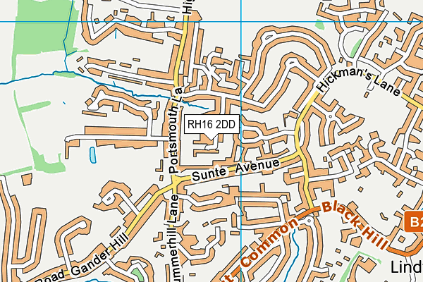 RH16 2DD map - OS VectorMap District (Ordnance Survey)