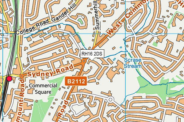 RH16 2DS map - OS VectorMap District (Ordnance Survey)