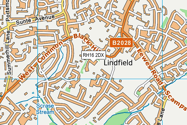 Lindfield Primary Academy map (RH16 2DX) - OS VectorMap District (Ordnance Survey)