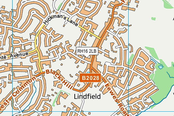 RH16 2LB map - OS VectorMap District (Ordnance Survey)