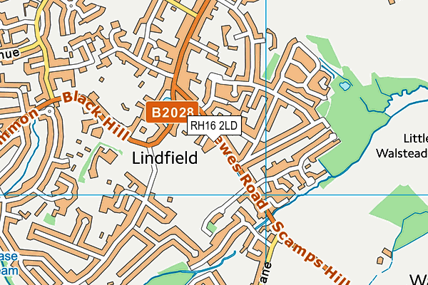 Lindfield Common map (RH16 2LD) - OS VectorMap District (Ordnance Survey)