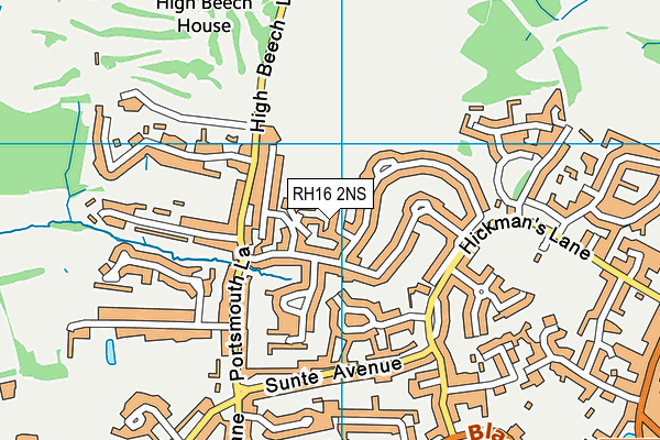 RH16 2NS map - OS VectorMap District (Ordnance Survey)