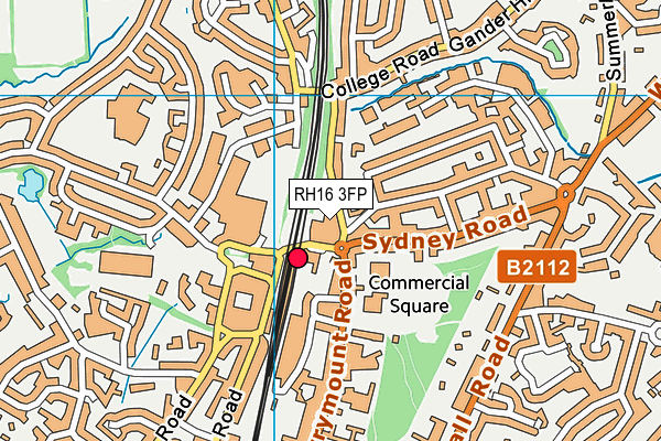 RH16 3FP map - OS VectorMap District (Ordnance Survey)