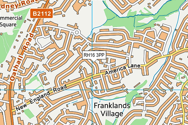 RH16 3PP map - OS VectorMap District (Ordnance Survey)