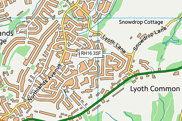 RH16 3SF map - OS VectorMap District (Ordnance Survey)