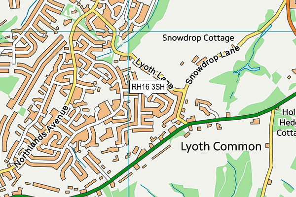 RH16 3SH map - OS VectorMap District (Ordnance Survey)