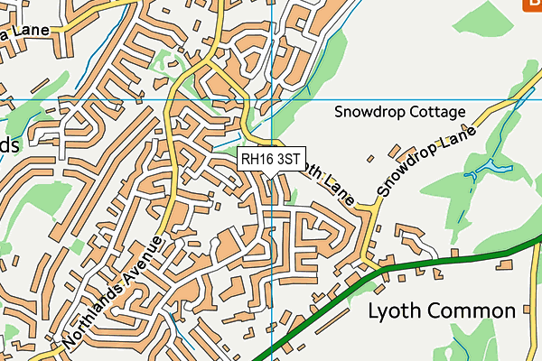 RH16 3ST map - OS VectorMap District (Ordnance Survey)