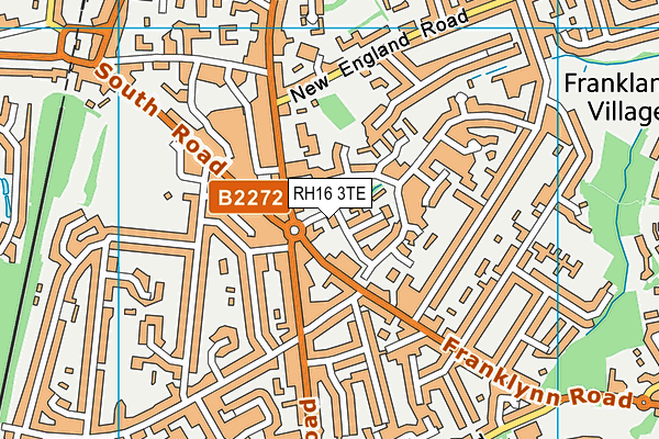 RH16 3TE map - OS VectorMap District (Ordnance Survey)