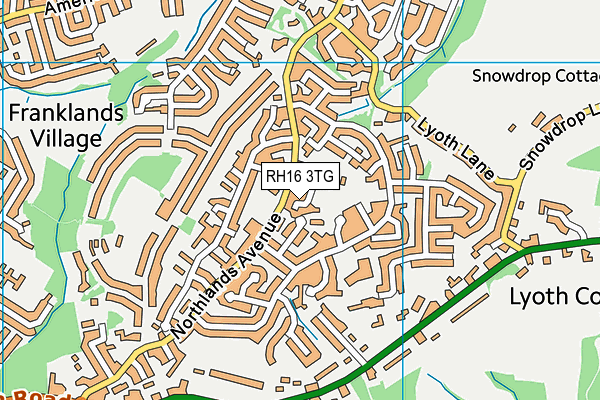 RH16 3TG map - OS VectorMap District (Ordnance Survey)