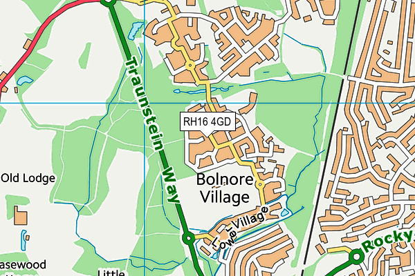 Bolnore Village Primary School map (RH16 4GD) - OS VectorMap District (Ordnance Survey)