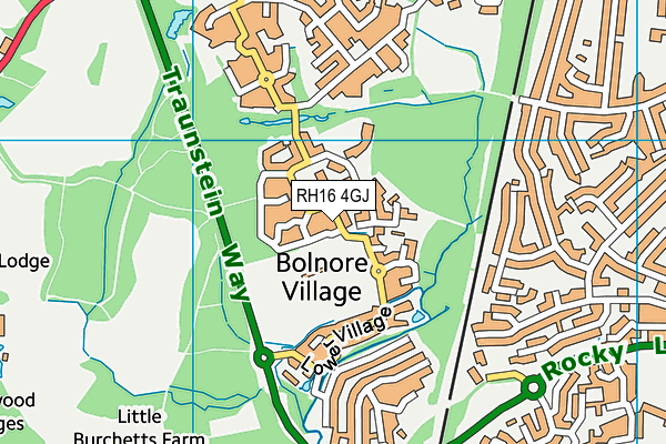 Tim Farmer Recreation Ground map (RH16 4GJ) - OS VectorMap District (Ordnance Survey)