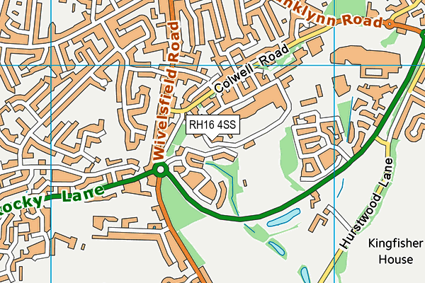 RH16 4SS map - OS VectorMap District (Ordnance Survey)