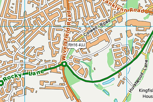 RH16 4UJ map - OS VectorMap District (Ordnance Survey)