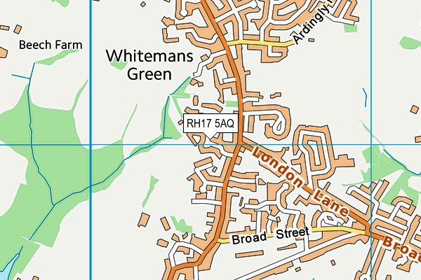 RH17 5AQ map - OS VectorMap District (Ordnance Survey)