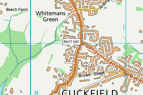 RH17 5AY map - OS VectorMap District (Ordnance Survey)