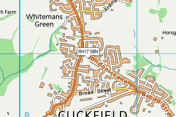 RH17 5BN map - OS VectorMap District (Ordnance Survey)