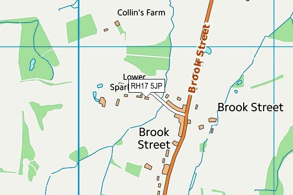 RH17 5JP map - OS VectorMap District (Ordnance Survey)