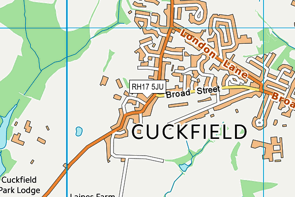 RH17 5JU map - OS VectorMap District (Ordnance Survey)