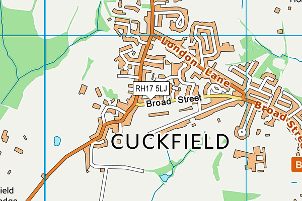 RH17 5LJ map - OS VectorMap District (Ordnance Survey)