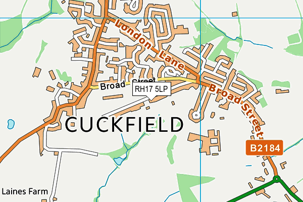 RH17 5LP map - OS VectorMap District (Ordnance Survey)